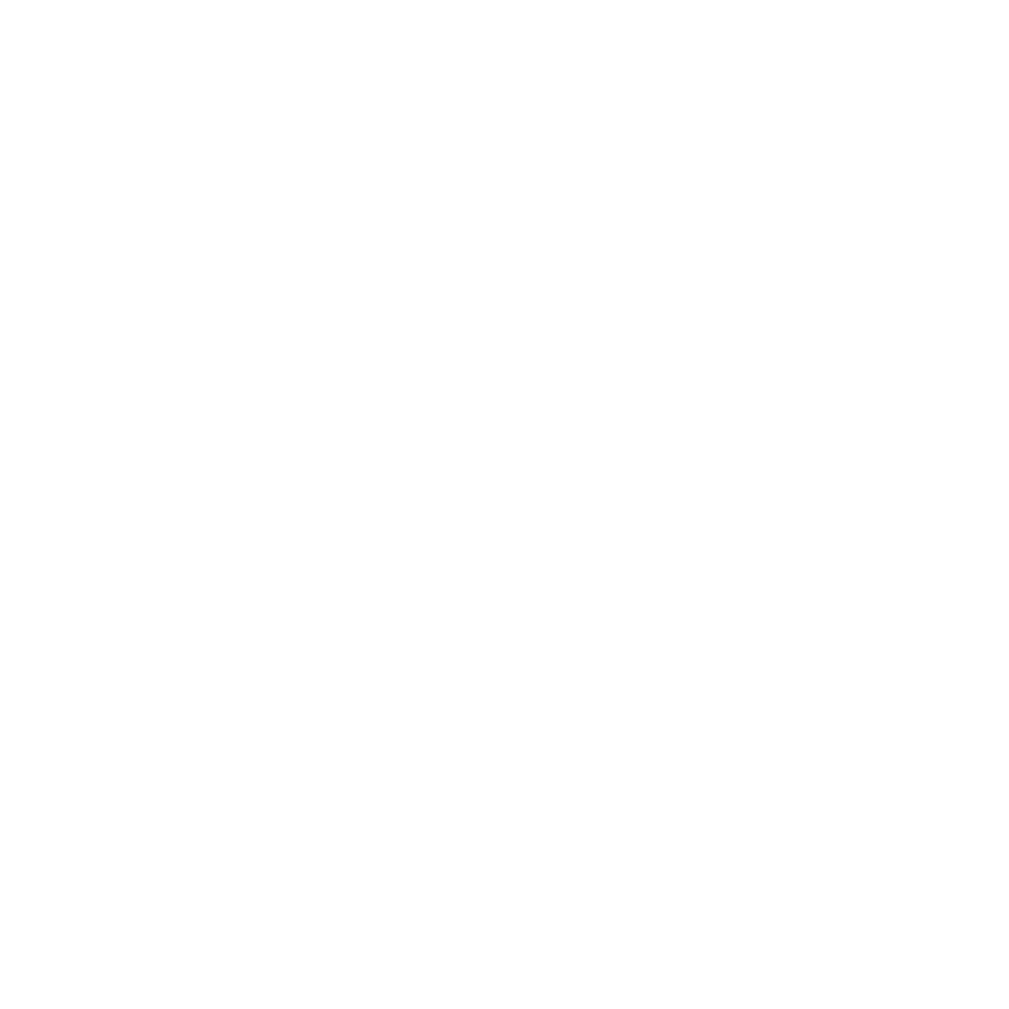 Logo - The Authority Companies - White